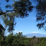 Mas Miraflors
