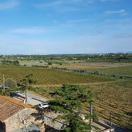 Mas Miraflors * 페르피냥