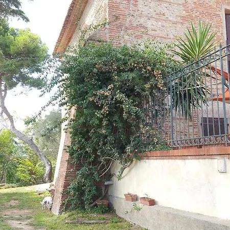 펜션 Mas Miraflors